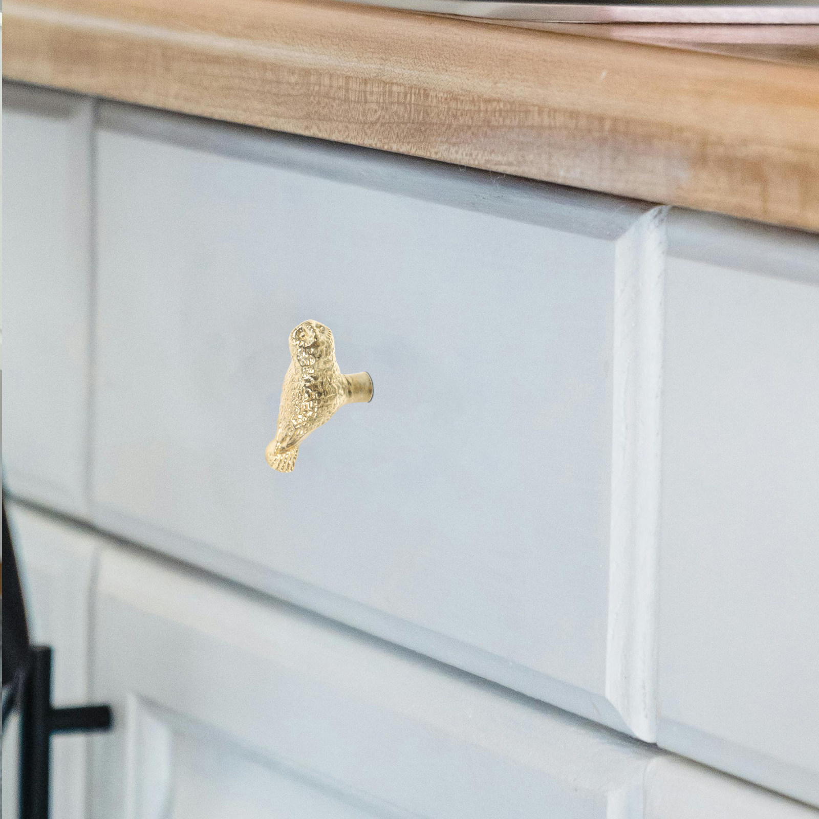 2Pcs Brass Owl Cabinet Knob Vi - Unique Furniture Hardware review and price