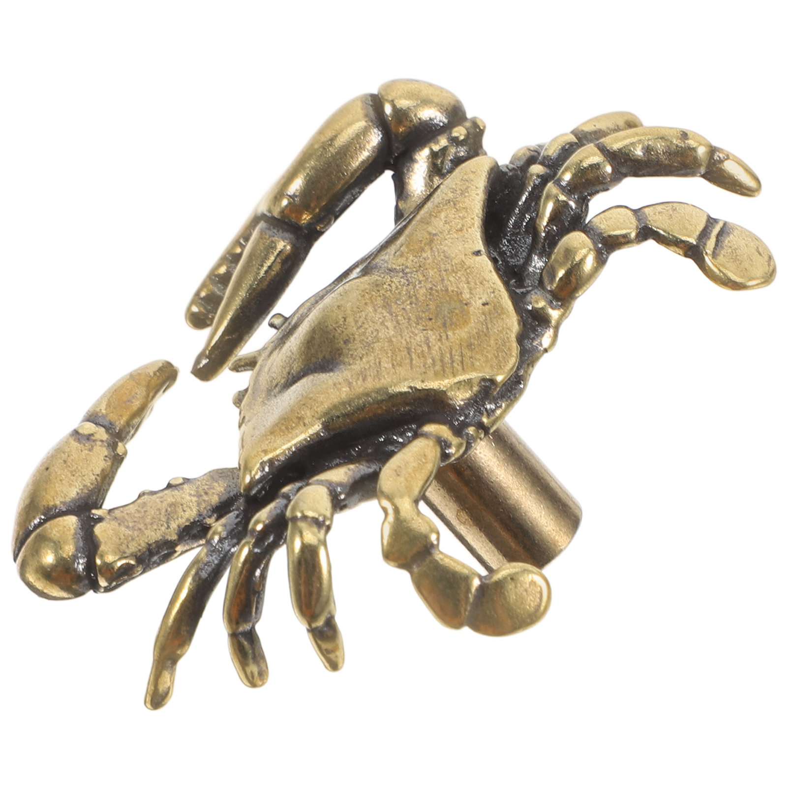 Brass Crab Cabinet Handle Naut - Unique Furniture Hardware review and price