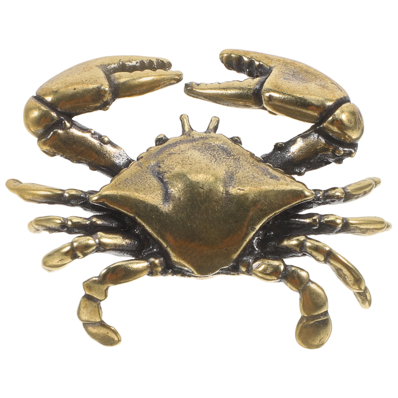 Brass Crab Cabinet Handle Naut - Unique Furniture Hardware review and price